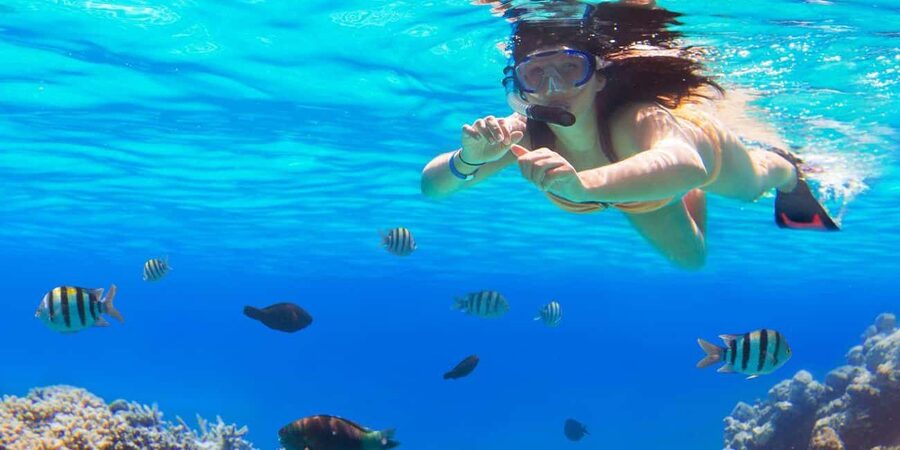 Ka'anapali Beach: Coral Reef Snorkel and Turtle Spotting - Why this Ka’anapali turtle snorkel works as an express outing