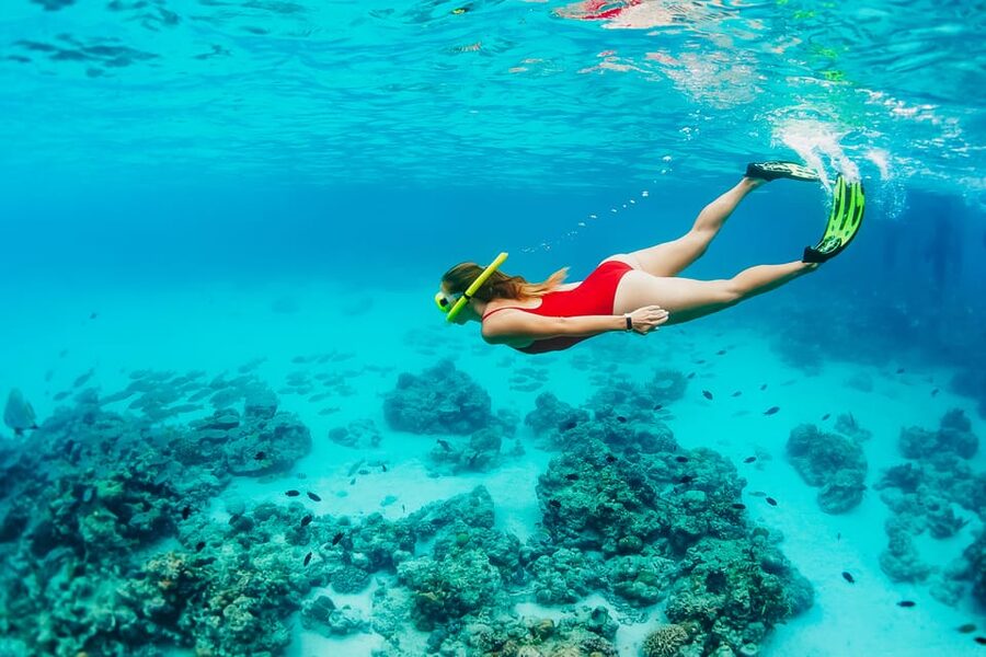 Ka'anapali Beach: Coral Reef Snorkel and Turtle Spotting - The 150-minute flow: what happens from first boat ride to last return
