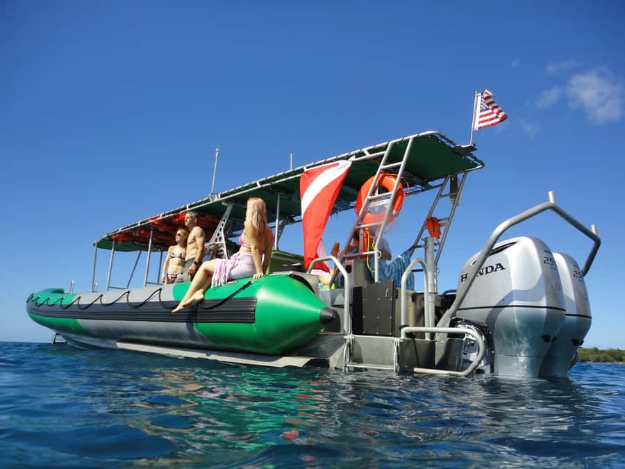 Ka'anapali: Whale Watching Boat Tour - Magic Merman from Ka’anapali Beach: what the 2-hour trip is really like
