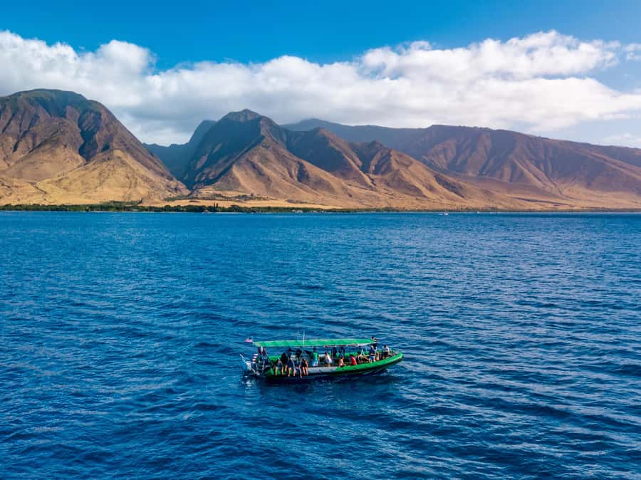 Ka'anapali: Whale Watching Boat Tour - Photo chances: getting great shots, including possible underwater pictures