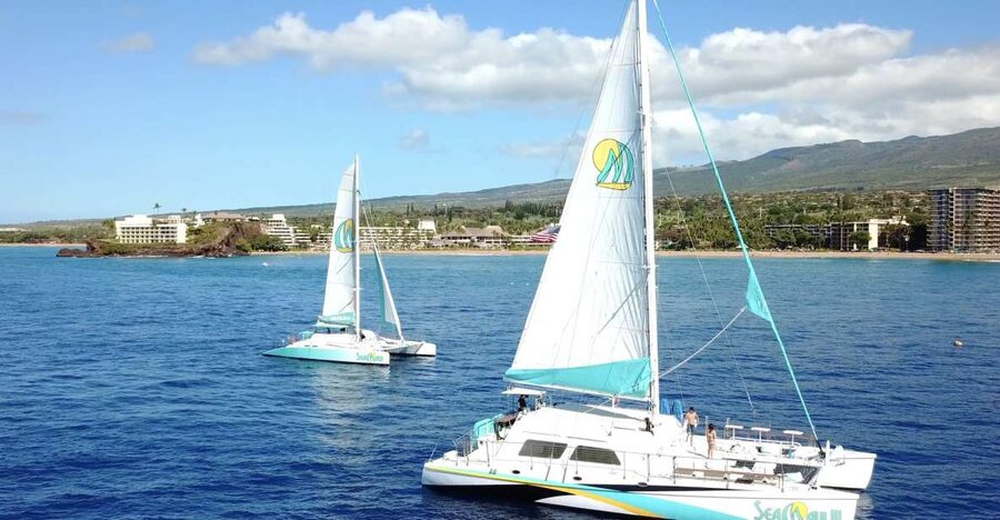 Kaanapali: Sunset Dinner Catamaran Cruise With Drinks - Price and Value: Is $153 Worth a Maui Sunset Dinner Cruise?