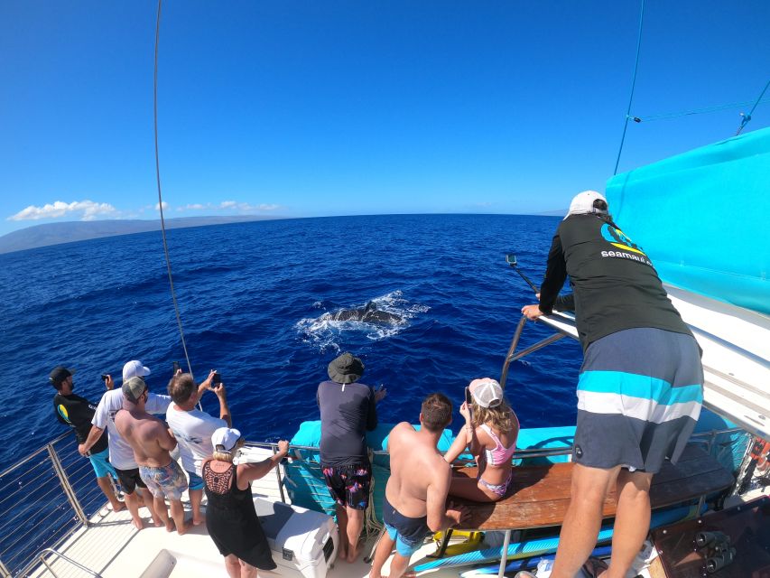 Kaanapali: Whale Watching Cruise with Open Bar - Where you meet Sea Maui at Whaler’s Village