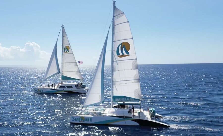 Kaanapali: Whale Watching Cruise with Open Bar - How close you might get (and why distance can vary)