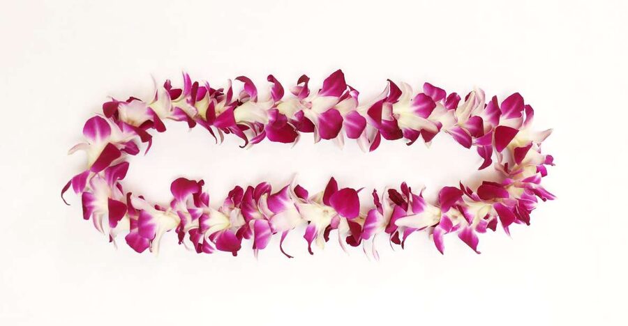 Kahului Airport: Maui Flower Lei Greeting Upon Arrival - Should You Book the Kahului Lei Greeting?