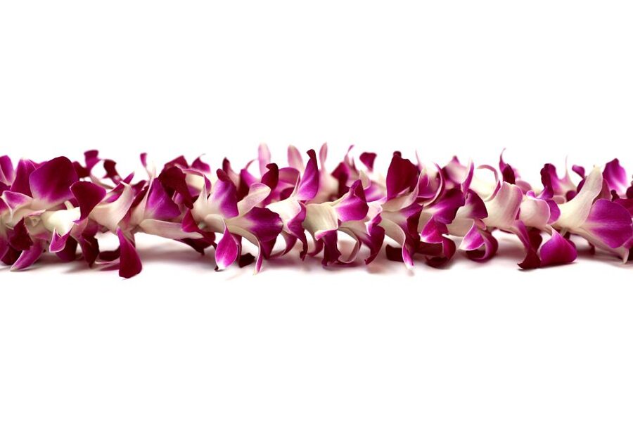 Kahului Airport: Maui Flower Lei Greeting Upon Arrival - Where to Find Your Greeter: Bottom of the Escalators, Outdoor Baggage Claim