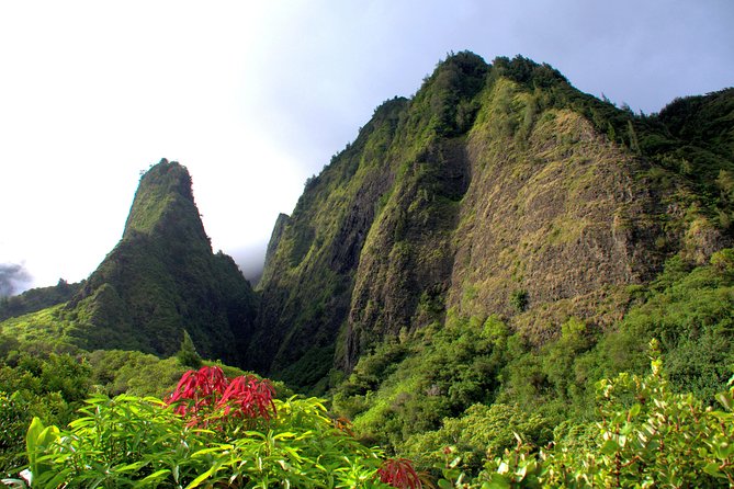 Kahului Shore Excursion: Private Tropics of Maui & Rainforest - A private Kahului pickup that saves your shore-day brain