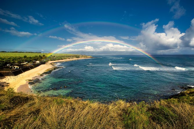 Kahului Shore Excursion: Private Tropics of Maui & Rainforest - Hookipa Beach Park: turtles, surfers, and a final ocean-sky stretch