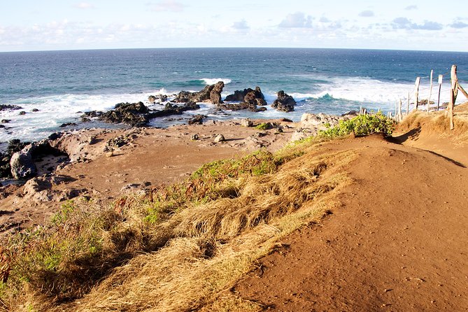 Kahului Shore Excursion: Private Tropics of Maui & Rainforest - How customization actually helps on a private shore day
