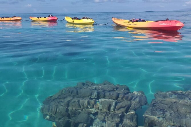 Kayak and Snorkel: Maui West Shore - Price and Logistics: Is It Worth It for You?