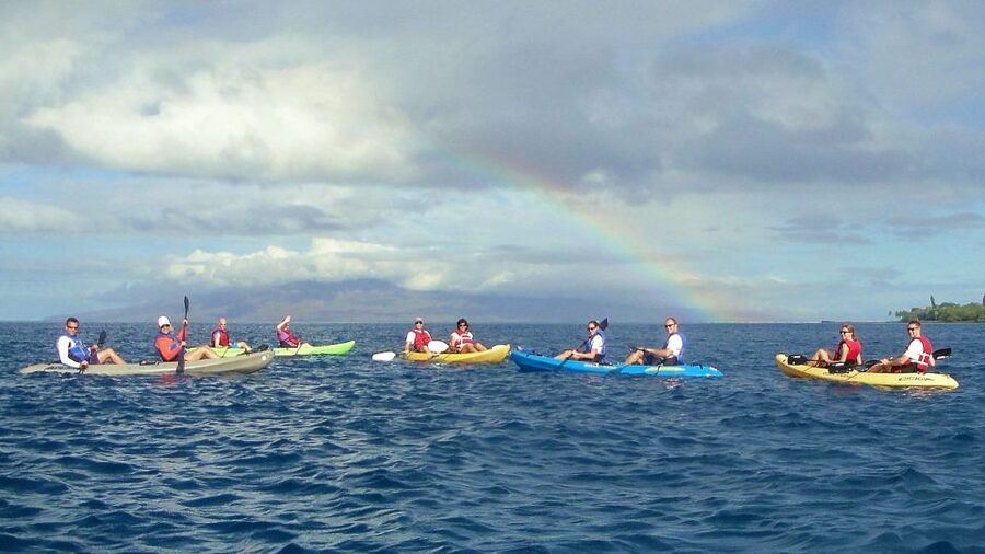 Kayak and Snorkel West Maui at Olowalu - Snorkeling with giant sea turtles and a turtle cleaning station
