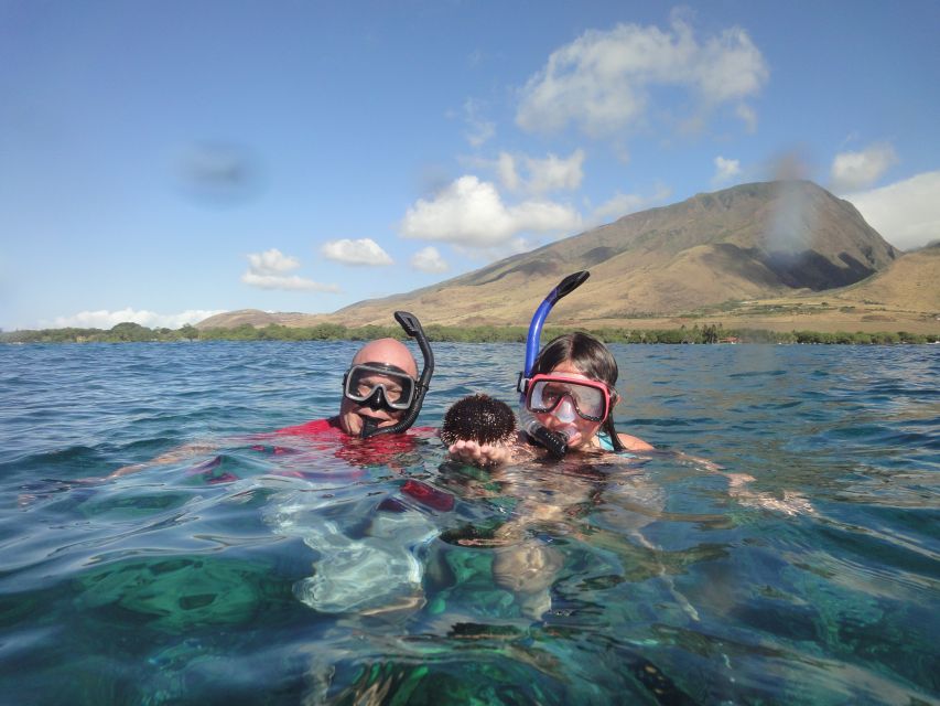 Kayak and Snorkel West Maui at Olowalu - Whale watching in season (and how you can actually hear them)