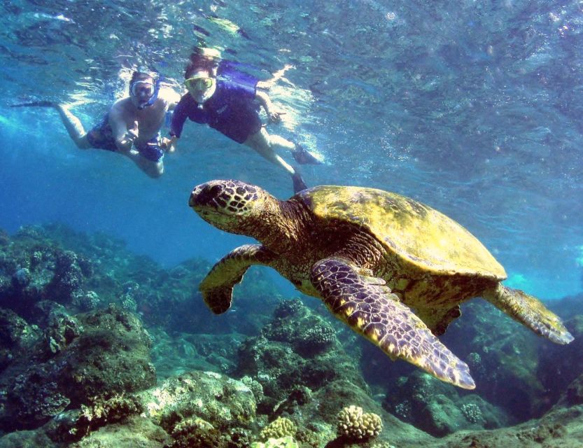 Kayak and Snorkel West Maui at Olowalu - Gear, fit, and swimming comfort: the practical gotchas