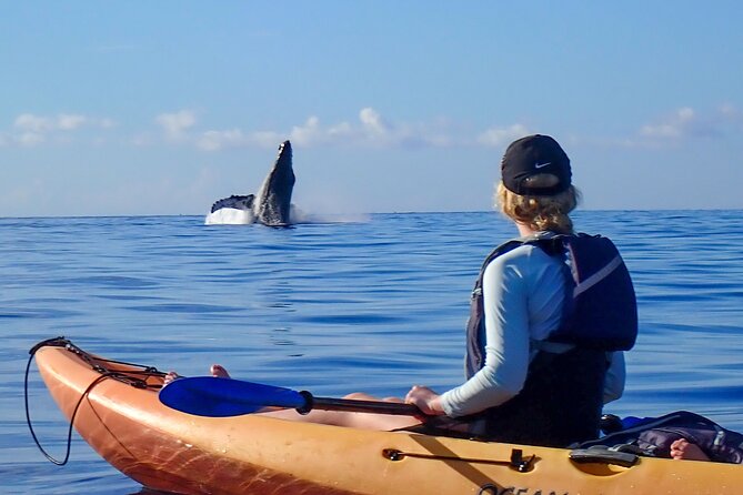 Kayak and Whale Watching Tour - Maui Morning Kayak: Makena Landing Park at 7:00 am