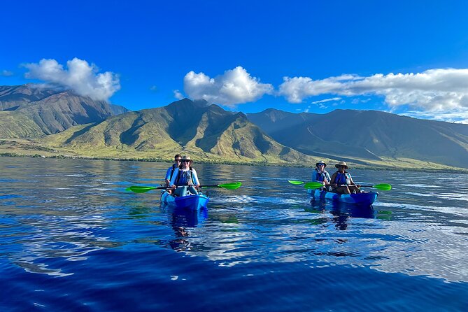 Kayak & Turtle Town Snorkel(Turtles Guaranteed) + Whale Watching - Key points to know before you go