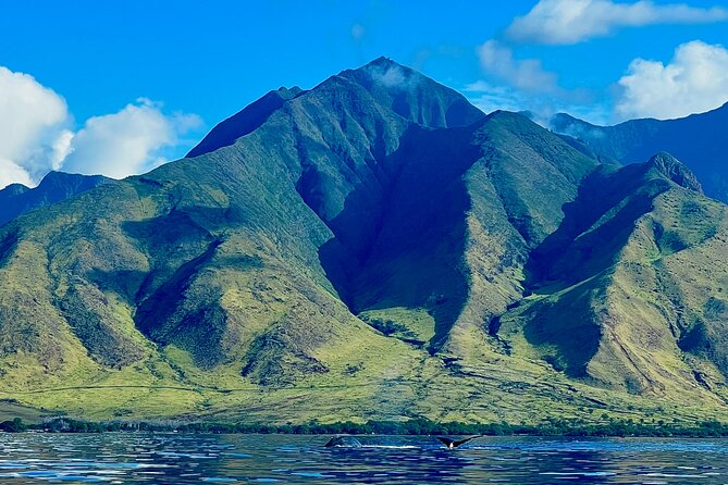 Kayak & Turtle Town Snorkel(Turtles Guaranteed) + Whale Watching - First stop: Olowalu Beach and a calm start on West Maui