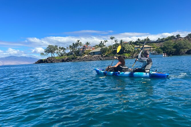 Kayak & Turtle Town Snorkel(Turtles Guaranteed) + Whale Watching - Who should book this: confident swimmers and steady fitness