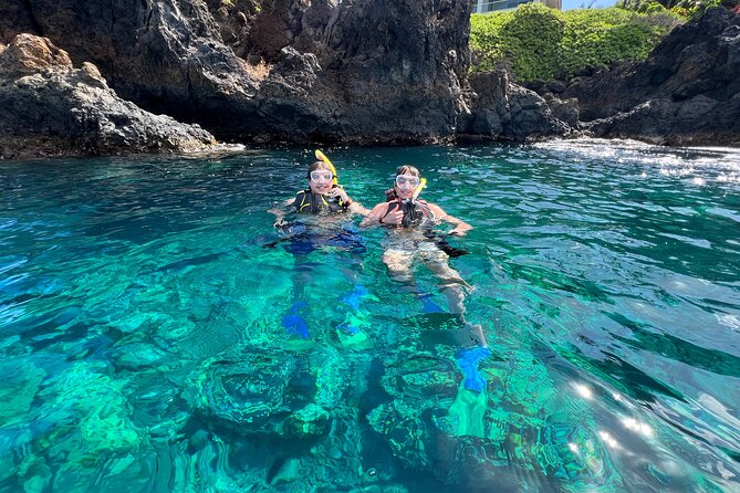 Kayak & Turtle Town Snorkel(Turtles Guaranteed) + Whale Watching - When the ocean won’t cooperate: rough seas and weather realities