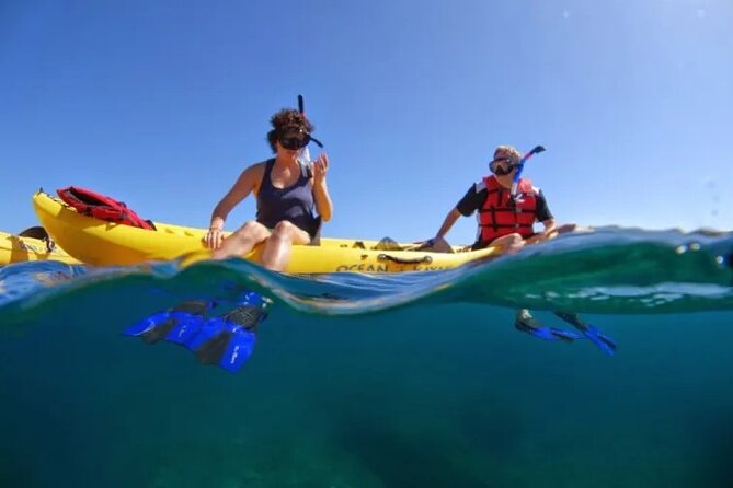 Kayak, Whale Watch and Snorkel - Key highlights to know before you go