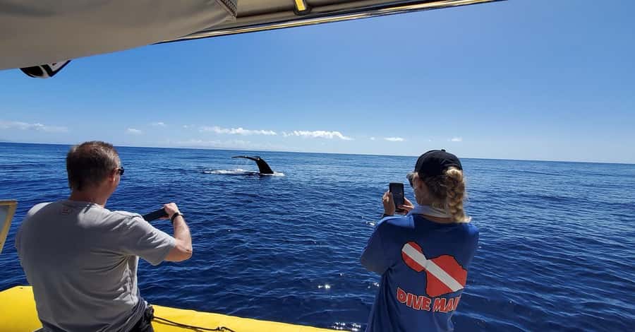 Lahaina: Day or Sunset Whale Watching Tour with Naturalist - The custom ocean raft: closer views with real trade-offs