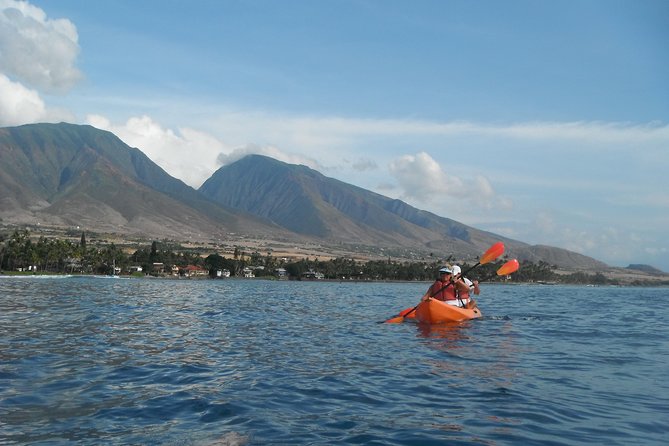 Lahaina Kayak and Snorkel Excursion - The Snorkel Stop: What You’re Actually Hoping to See