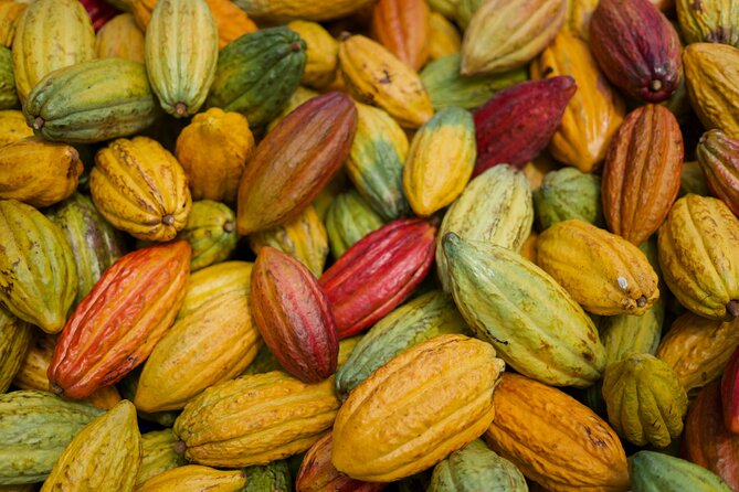 Lahaina: Maui Ku'ia Estate Guided Cacao Farm Tour and Tasting - Treehouse Tasting: Nine Chocolates and the Maui-View Factor