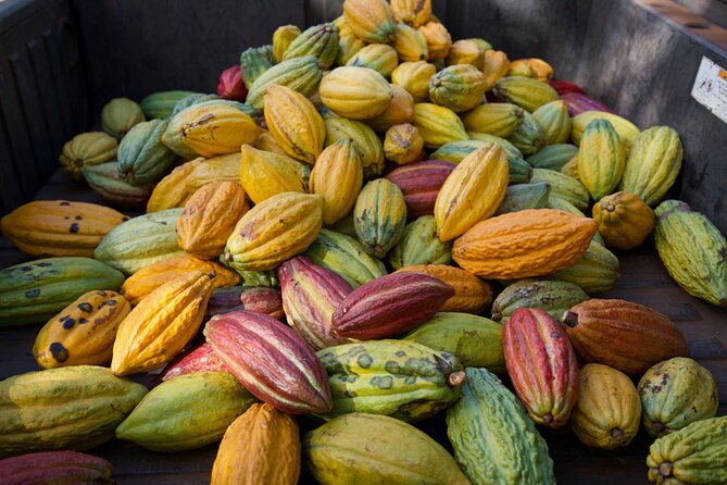 Lahaina: Maui Ku'ia Estate Guided Cacao Farm Tour and Tasting - Price and Logistics: Is $99.48 a Good Value for 90 Minutes?