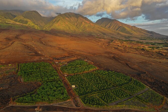 Lahaina: Maui Ku'ia Estate Guided Cacao Farm Tour and Tasting - Who This Tour Suits Best (and Who Might Prefer Another Plan)