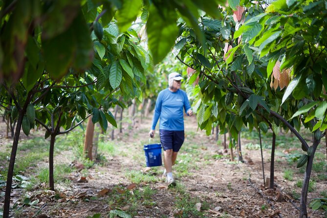 Lahaina: Maui Ku'ia Estate Guided Cacao Farm Tour and Tasting - Practical Stuff I’d Plan For Before You Arrive