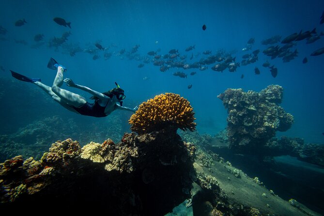 Lāna'i Coast Snorkel and Sail - Snorkel Time With Gear, Floatation, and Reef-Safe Care