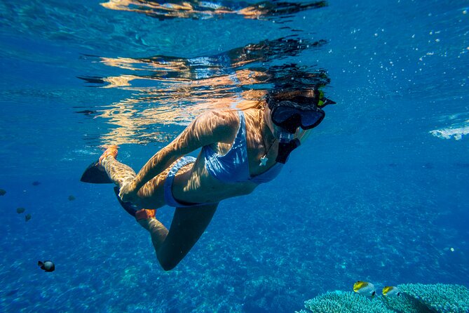 Lāna'i Coast Snorkel and Sail - Who This Trip Suits Best (And Who Should Skip It)