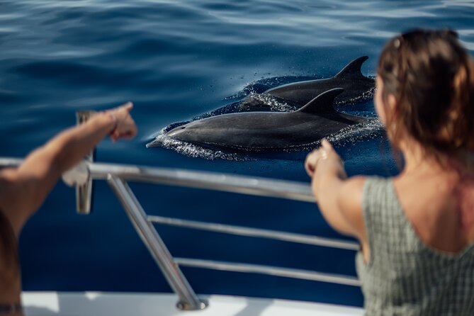 Lana'i Snorkel And Dolphin Quest with Maui Turtle Spot Tour - Morning plan: what the 4.5 hours really feels like
