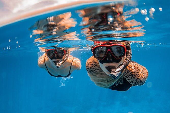 Lana'i Snorkel And Dolphin Quest with Maui Turtle Spot Tour - Wildlife search near Lanai: dolphins, plus what the ocean throws in