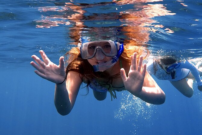 Lana'i Snorkel And Dolphin Quest with Maui Turtle Spot Tour - Gear, instruction, and the reality of snorkeling with turtles