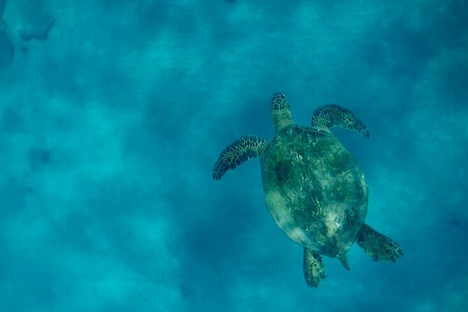 Lana'i Snorkel And Dolphin Quest with Maui Turtle Spot Tour - What to pack so the day stays fun (not frustrating)