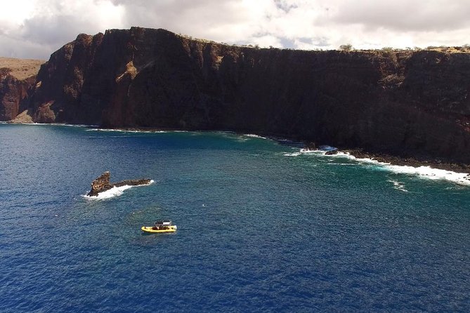 Lanai Deluxe Dolphin Adventure & 3 Snorkel Sites - Quick Take: what makes this Lanai snorkel cruise special