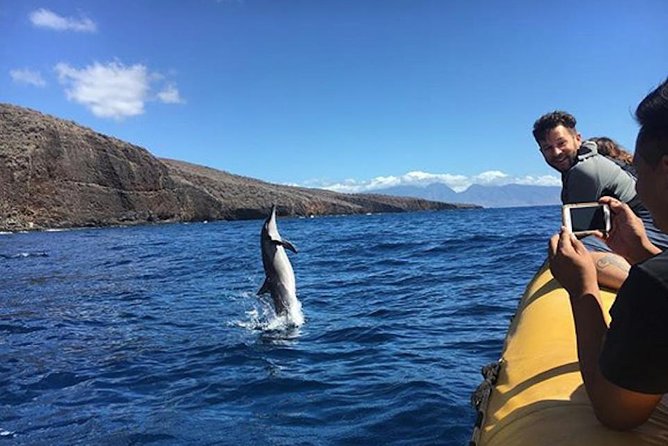 Lanai Deluxe Dolphin Adventure & 3 Snorkel Sites - Maui to Lanai in Six Hours: fast, focused, and built for snorkeling