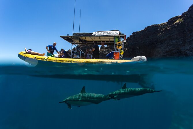 Lanai Deluxe Dolphin Adventure & 3 Snorkel Sites - Beyond the first swim: cliffs, pilings, and a sunken-ship style bonus
