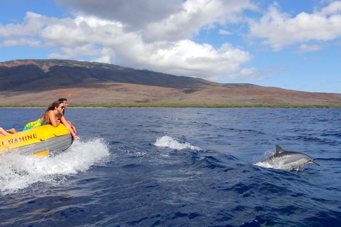 Lanai Deluxe Dolphin Adventure & 3 Snorkel Sites - Gear and buoyancy: what’s provided and what to bring