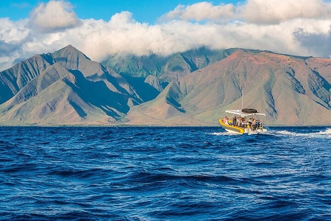 Lanai Deluxe Dolphin Adventure & 3 Snorkel Sites - Meeting at Mala Boat Ramp: what your morning actually looks like