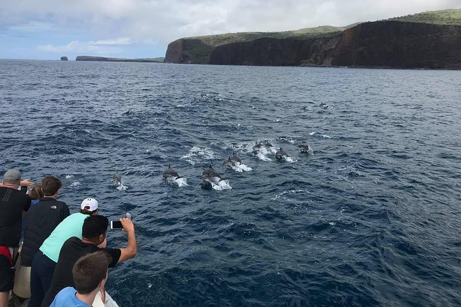 Lanai Snorkel and Dolphin Watch from Maalaea - From Maalaea’s Harbor Shops to Water in Motion