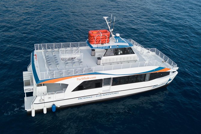 Lanai Snorkel and Dolphin Watch from Maalaea - Safety and Comfort Rules You’ll Actually Use