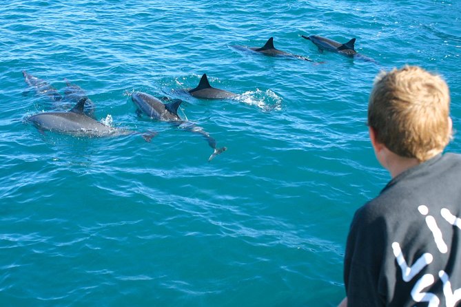 Lanai Snorkel and Dolphin Watch from Maalaea - The Double-Deck Catamaran Experience: Space, Shade, and Fresh Showers