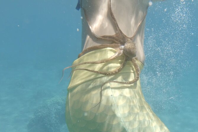 Lanai Snorkeling Half Day with Sea Scooter - Who this trip fits best (and who should skip it)