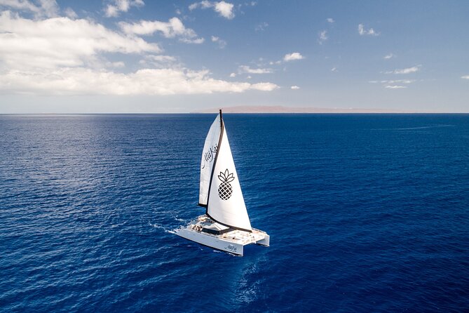 Luxury Catamaran Royal Sunset Dinner Sail (Adults-Only) - Key things that make this sail worth your time