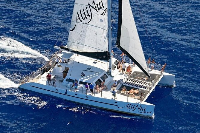 Luxury Catamaran Whale Watch - Marine Naturalist + Hydrophone: The Whale Part Gets Real