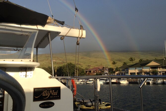 Luxury Catamaran Whale Watch - Who This Whale Watch Suits Best