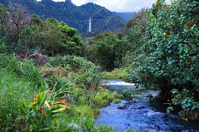 Luxury Helicopter Experience with Hana Rainforest Landing - Price and Value: Why This Costs $341.11 (and What You’re Buying)
