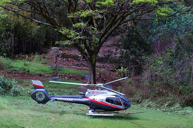Luxury Helicopter Experience with Hana Rainforest Landing - Practical Tips: Cameras, Water, Weather, and Weight Limits