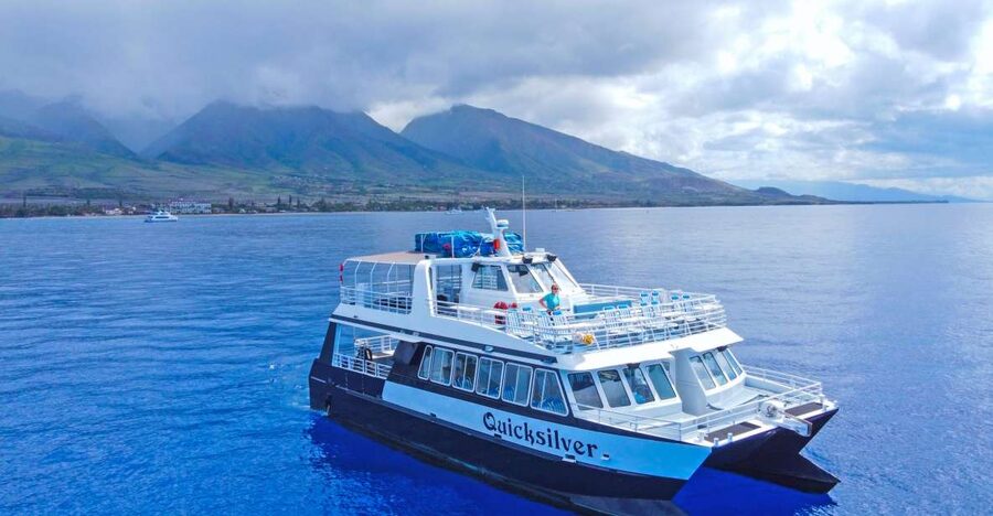 Ma'alaea Harbor: Whale Watching Tour Aboard Power Catamaran - Key Highlights You’ll Notice Right Away