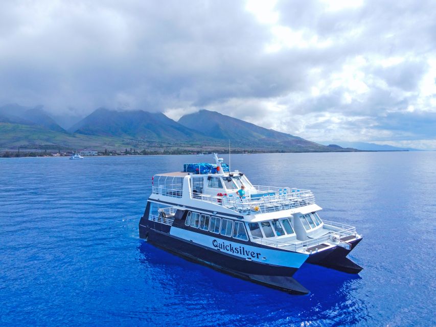 Ma'alaea Harbor: Whale Watching Tour Aboard Power Catamaran - Double-Deck Power Catamaran Seating That Works in Real Life